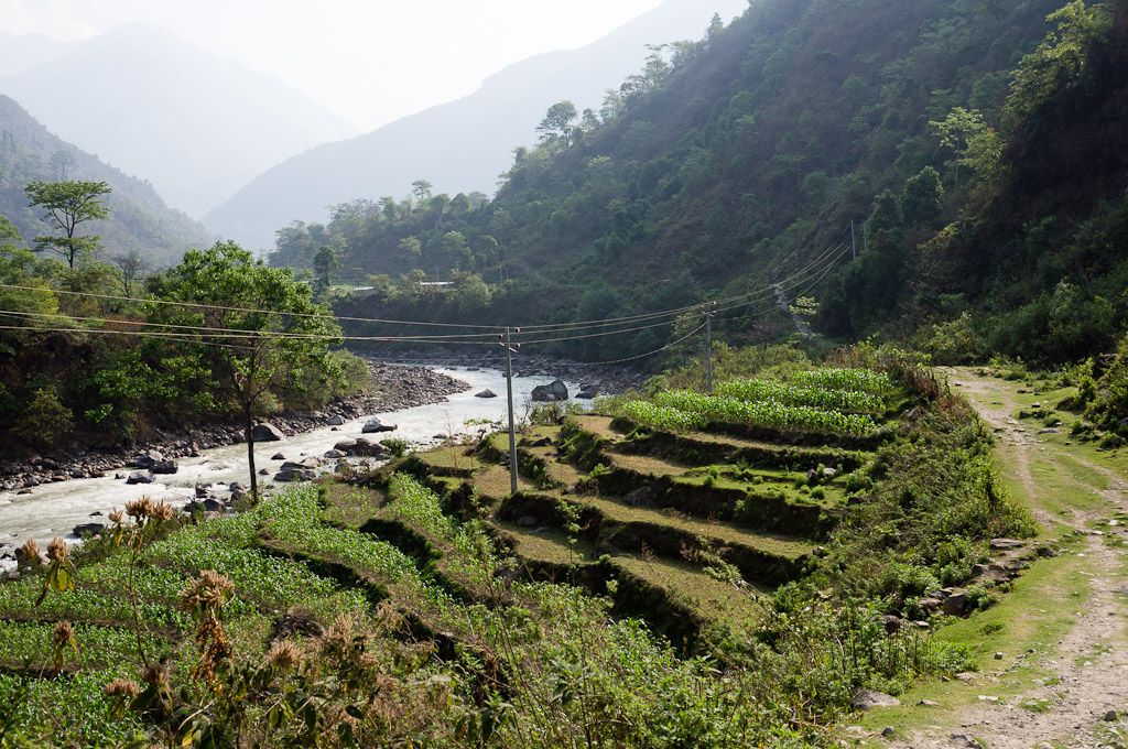 непальские поля